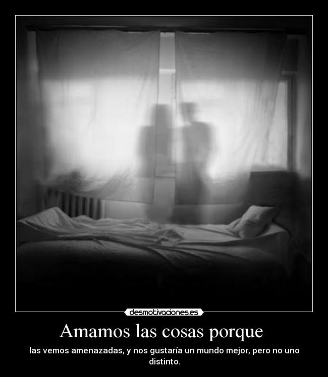 Amamos las cosas porque  - las vemos amenazadas, y nos gustaría un mundo mejor, pero no uno distinto.