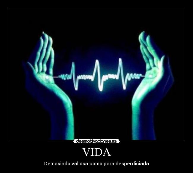 VIDA - Demasiado valiosa como para desperdiciarla