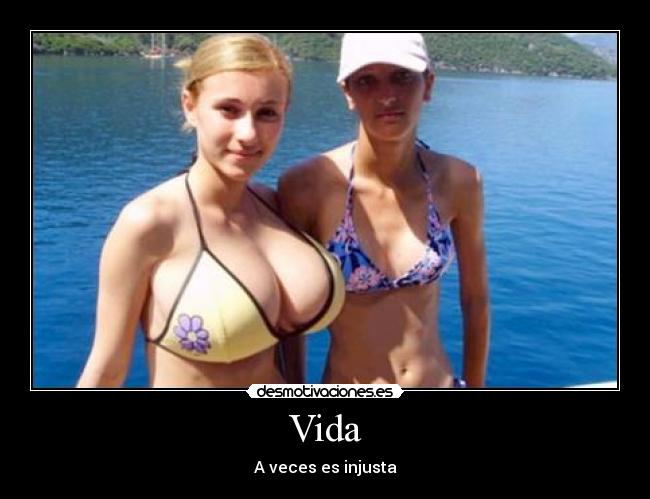 Vida - 