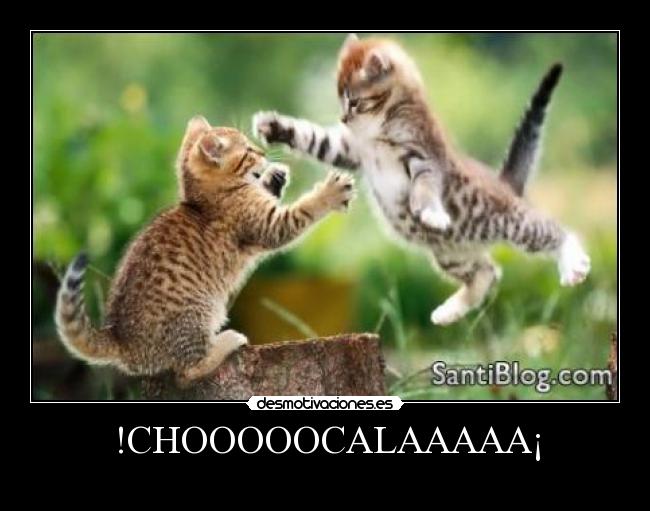 !CHOOOOOCALAAAAA¡ - 