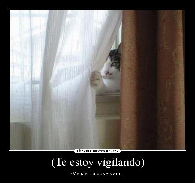 (Te estoy vigilando) - 