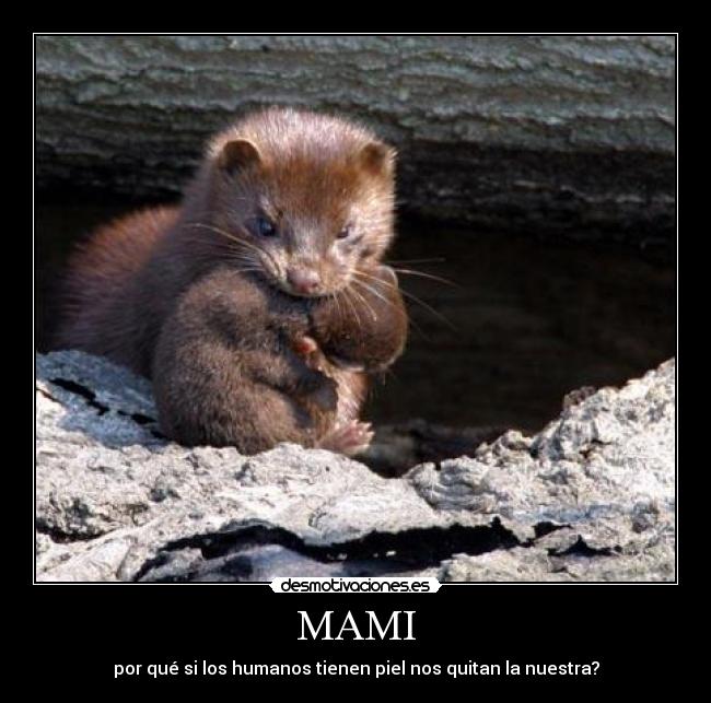 carteles mami desmotivaciones