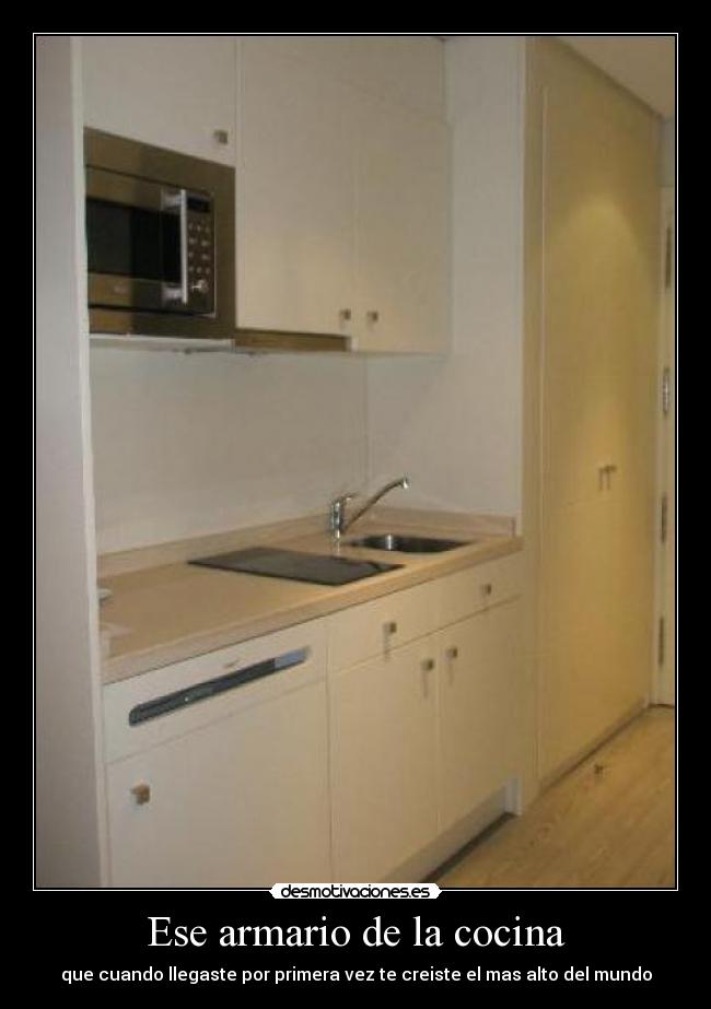 Ese armario de la cocina - 