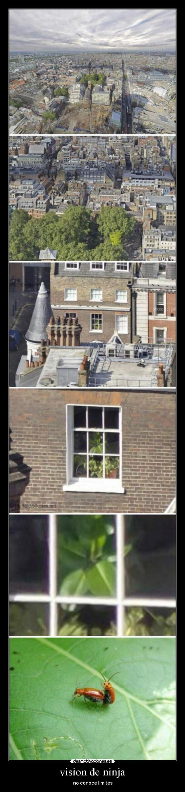 vision de ninja - no conoce limites