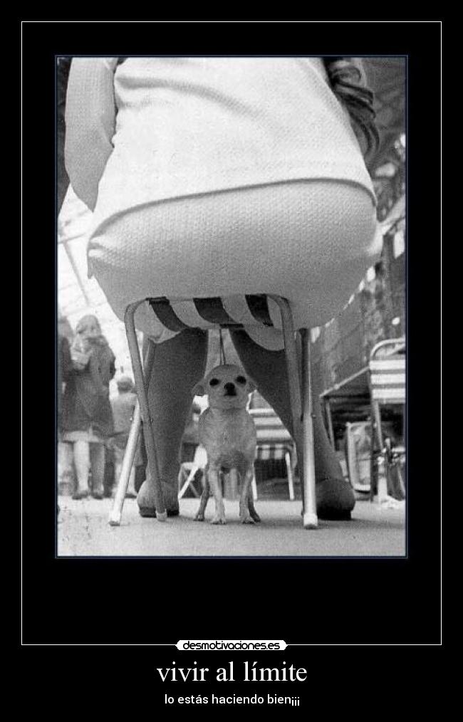 vivir al límite - 