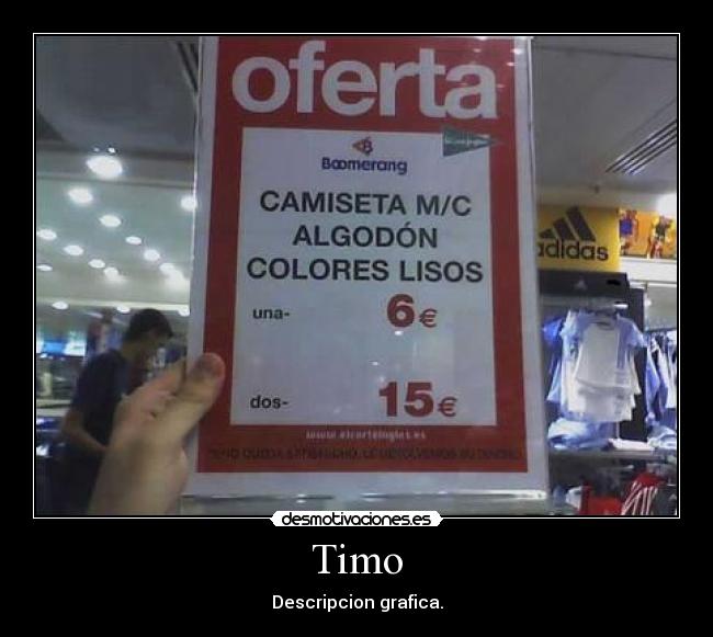 Timo - Descripcion grafica.