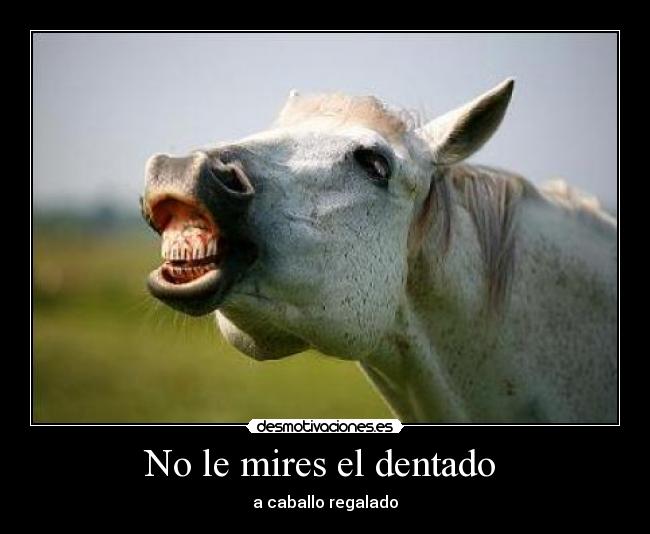 No le mires el dentado  - 