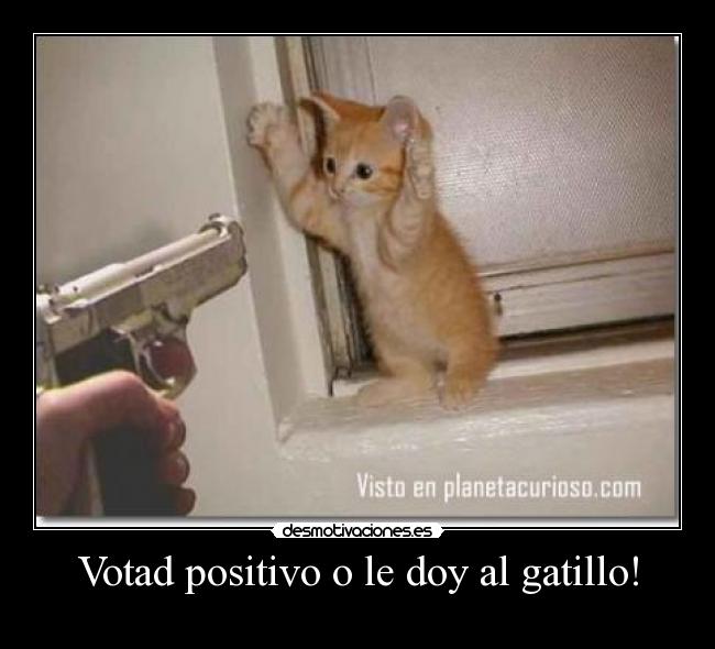 Votad positivo o le doy al gatillo! -