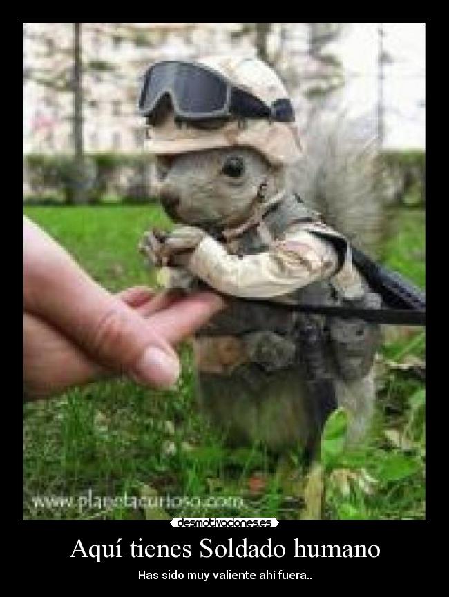 carteles walt_k dr4c096 ads thelasurrealist spidercerdo iceman3 kochifaz luxii9 awesomedeath ainarita33 _bl desmotivaciones