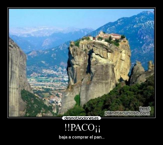 !!PACO¡¡ - 