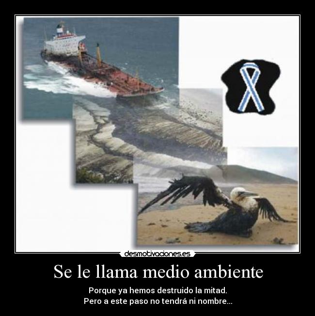 Se le llama medio ambiente -