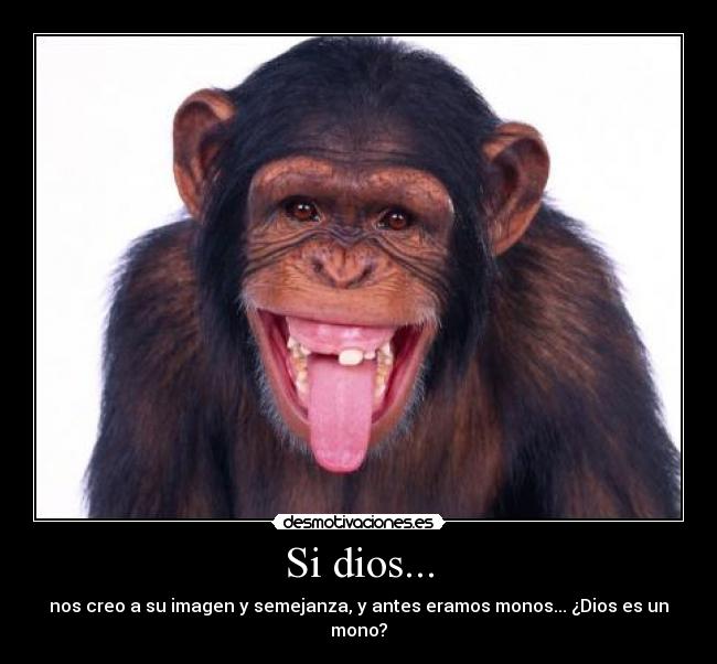 Si dios... - nos creo a su imagen y semejanza, y antes eramos monos... ¿Dios es un mono?