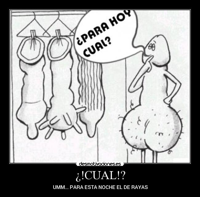 ¿!CUAL!? - UMM... PARA ESTA NOCHE EL DE RAYAS