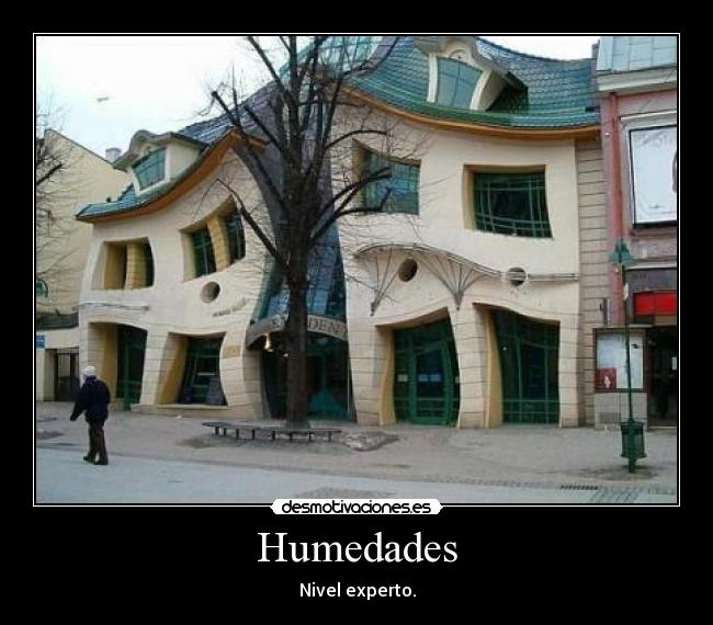 Humedades - Nivel experto.