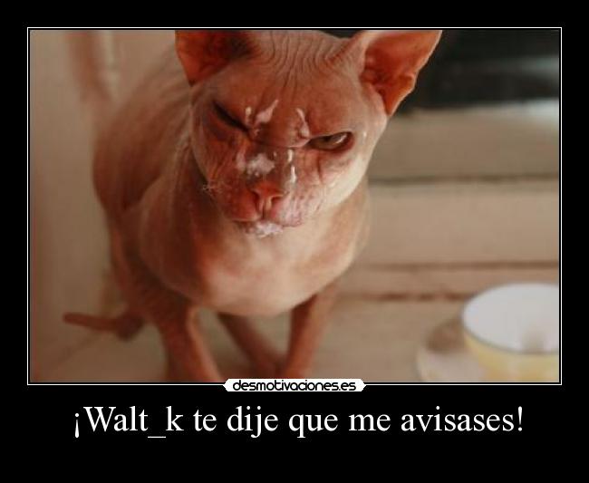 ¡Walt_k te dije que me avisases! - 