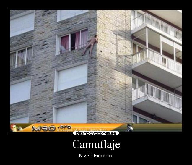 carteles experto desmotivaciones