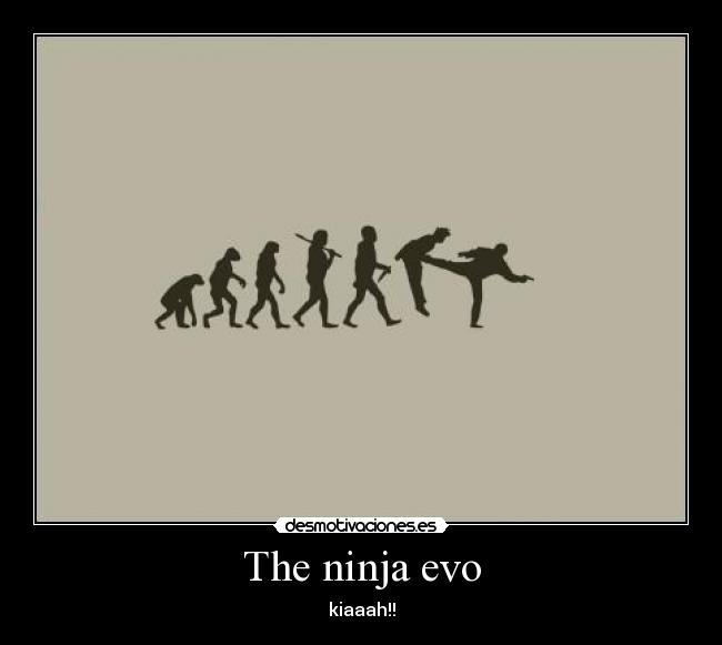 The ninja evo - 