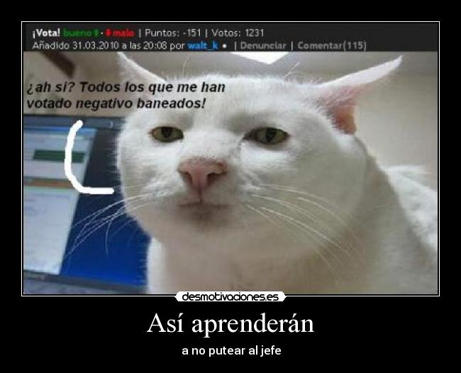 Así aprenderán - 