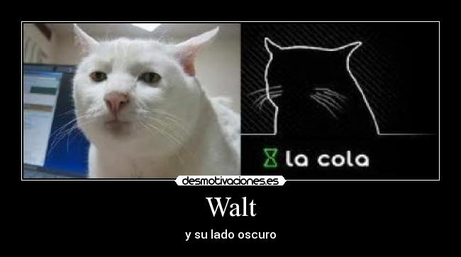 Walt -