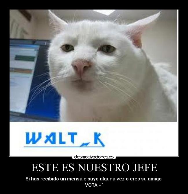 ESTE ES NUESTRO JEFE - Si has recibido un mensaje suyo alguna vez o eres su amigo
VOTA +1