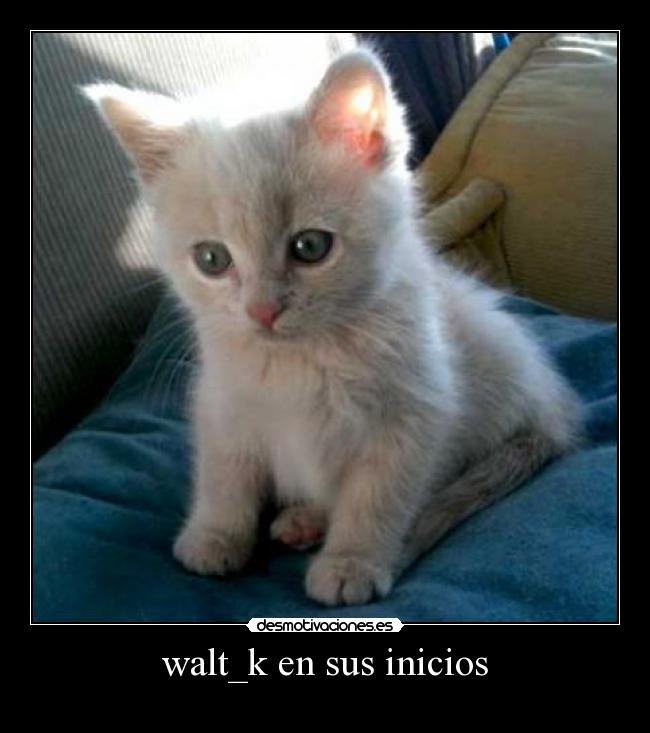 walt_k en sus inicios - 