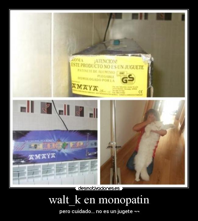 carteles walt_k monopatin desmotivaciones