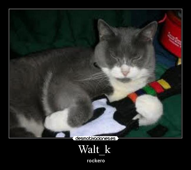 Walt_k - rockero