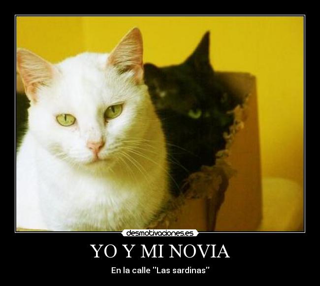 YO Y MI NOVIA -