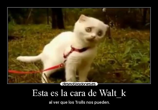 Esta es la cara de Walt_k -