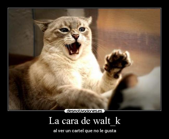 La cara de walt_k -
