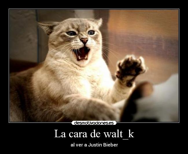 La cara de walt_k -