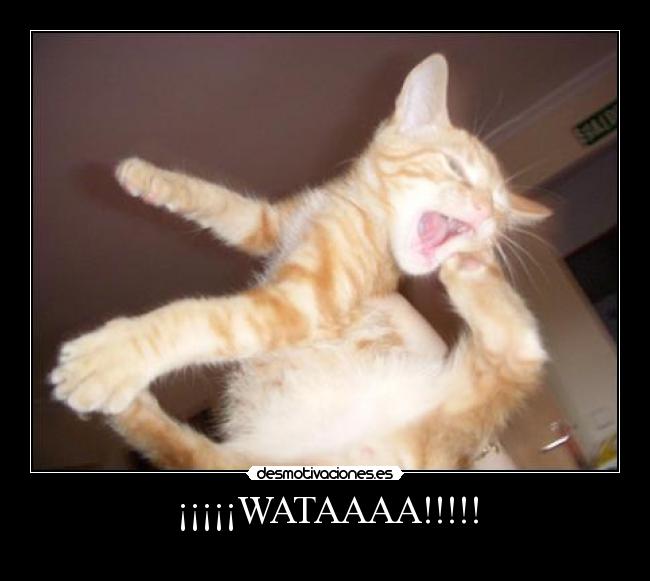 ¡¡¡¡¡WATAAAA!!!!! - 