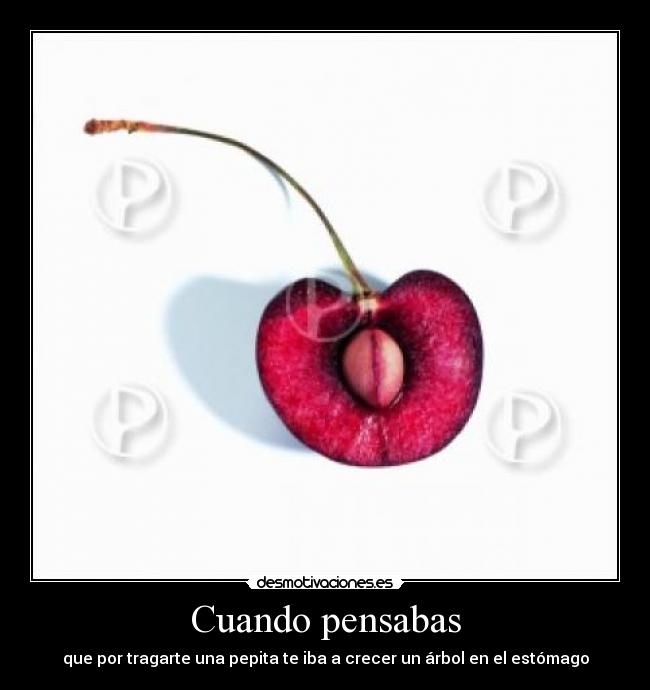carteles arbol estomago desmotivaciones