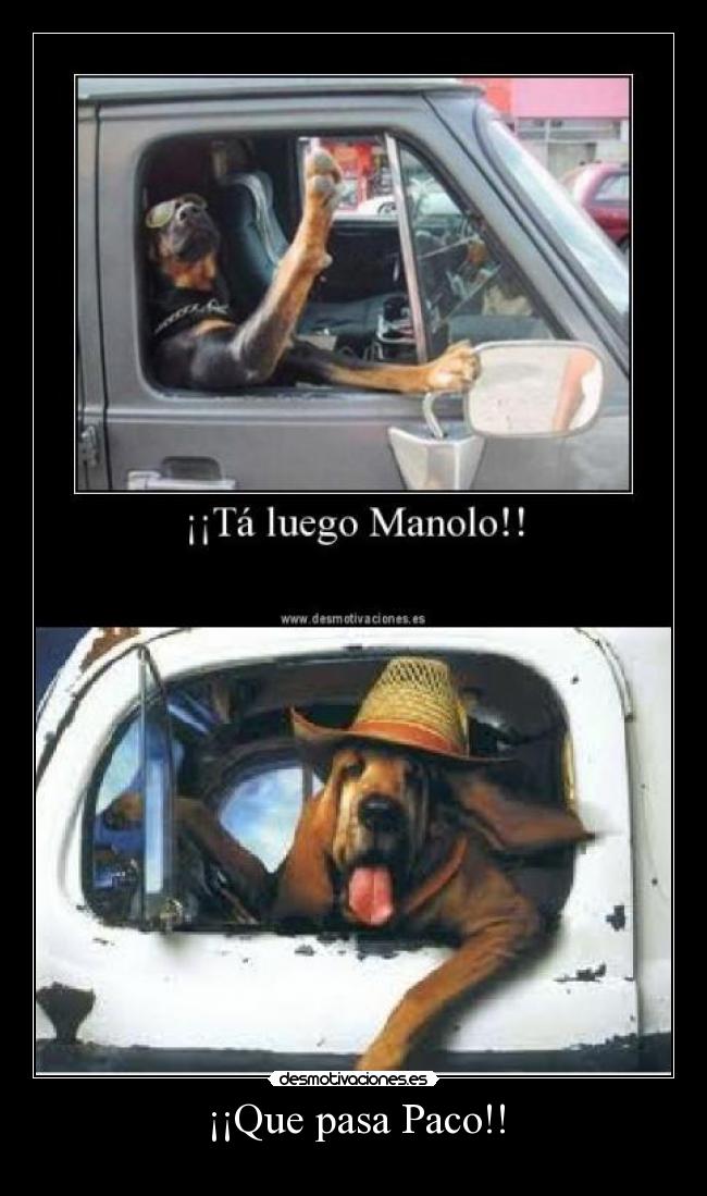 ¡¡Que pasa Paco!! - 