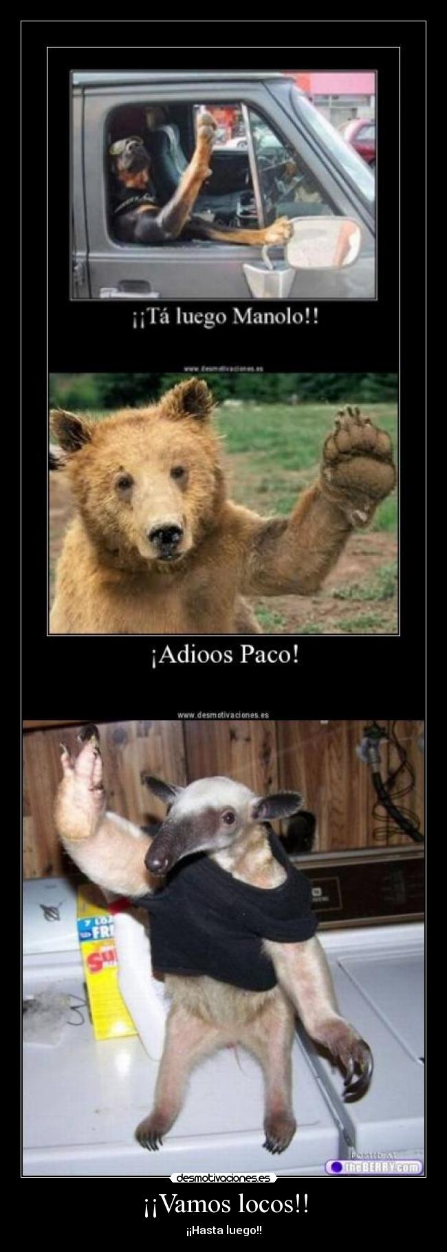 ¡¡Vamos locos!! - ¡¡Hasta luego!!