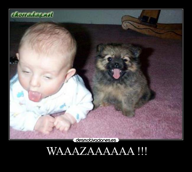 WAAAZAAAAAA !!! - 