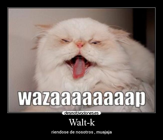 Walt-k -