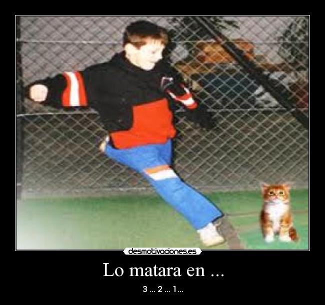 Lo matara en ... -