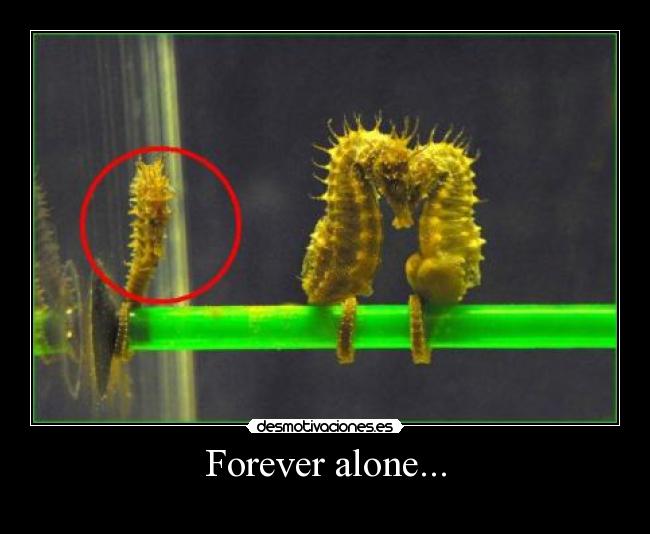 Forever alone... - 