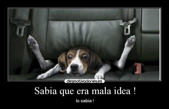 Sabia que era mala idea ! - lo sabia !