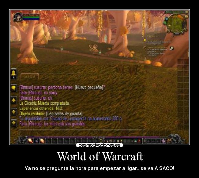 World of Warcraft -