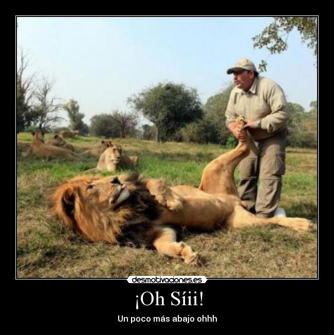 ¡Oh Síii! -