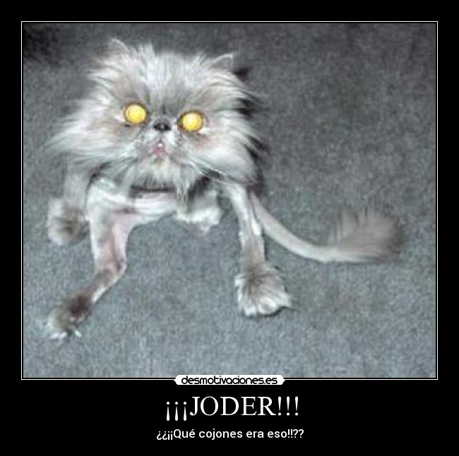 ¡¡¡JODER!!! - 