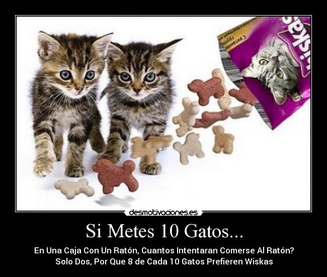 Si Metes 10 Gatos... - En Una Caja Con Un Ratón, Cuantos Intentaran Comerse Al Ratón?
Solo Dos, Por Que 8 de Cada 10 Gatos Prefieren Wiskas