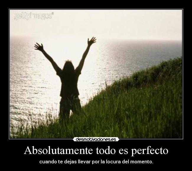 Absolutamente todo es perfecto - 