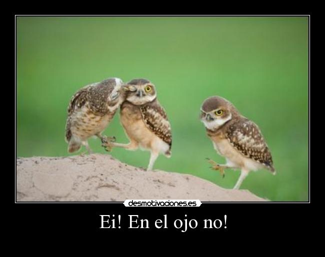 carteles sgs desmotivaciones