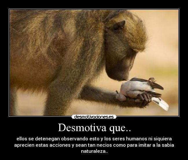 Desmotiva que.. -