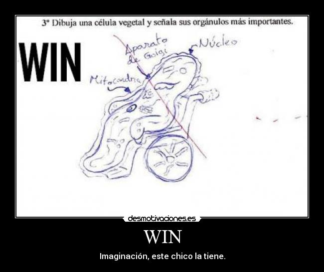 WIN - 