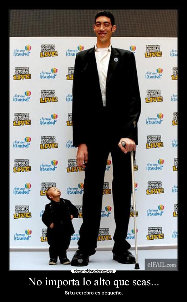 No importa lo alto que seas... - 