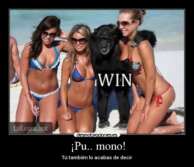 ¡Pu.. mono! -